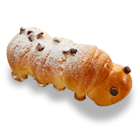 Little Caterpillar
