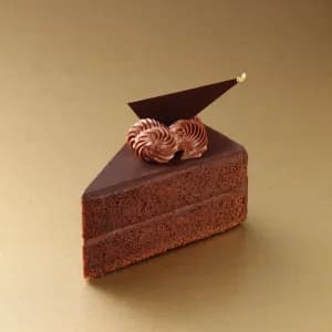 Sachertorte Slice (Vienna Chocolate Cake)
