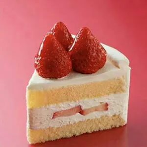 The Shortcake Slice
