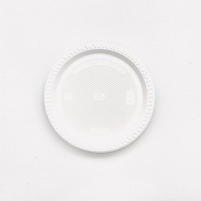 Disposable Plates for 50 pax