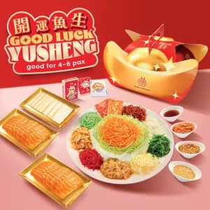 Good Luck Yu Sheng Set + Addtional 8pcs