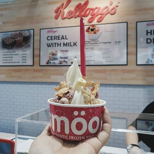 MAXI TAKEHOME (1L + 6 TOPPINGS)