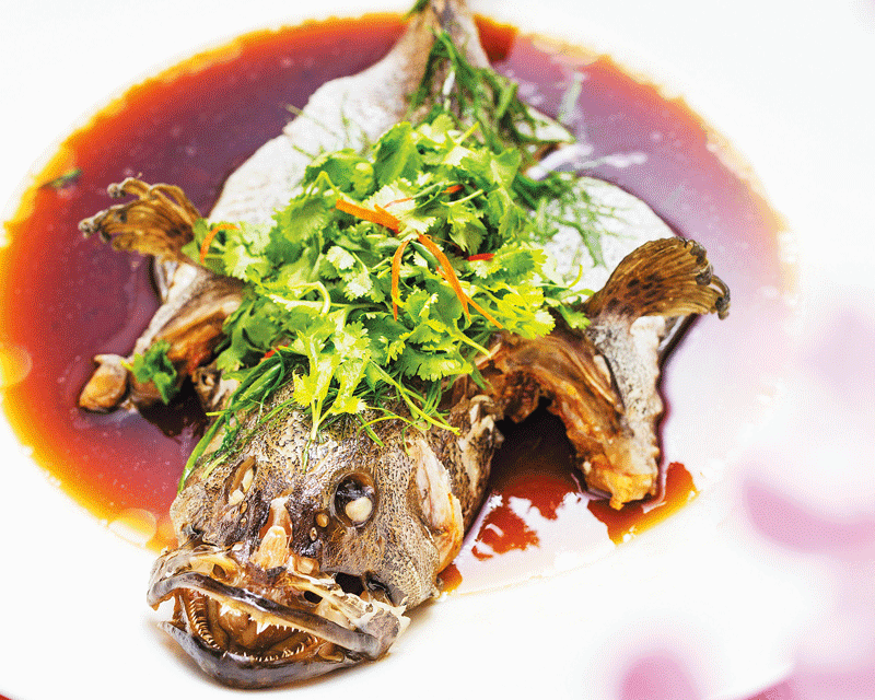 Steamed Dragon Grouper in Hong Kong Style (1.1kg) 港式蒸龙虎斑 (1.1公斤)