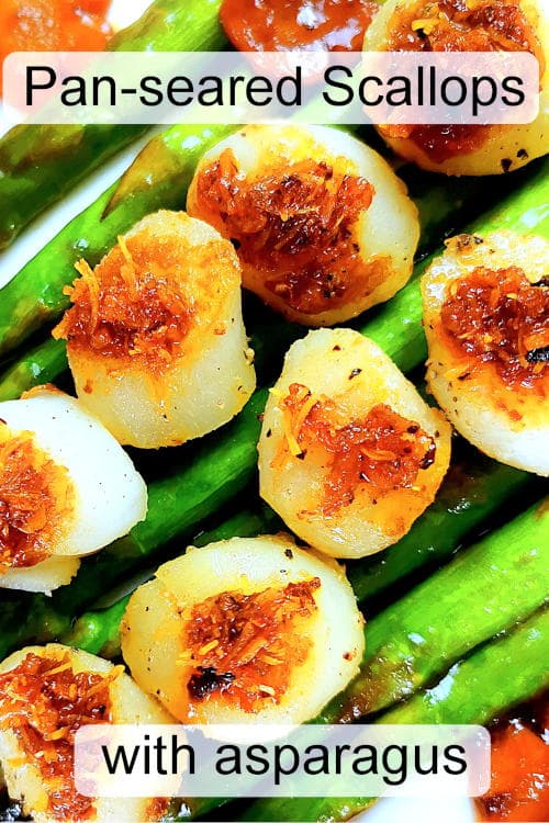 Stir-fried Scallop with Asparagus in XO Sauce