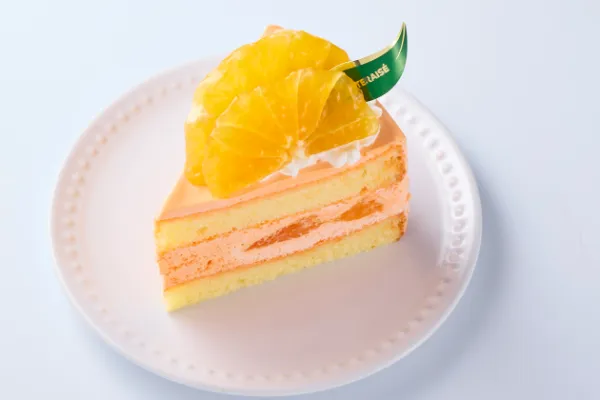 Special Japanese SHIRANUI Shortcake