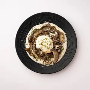 Truffle Shuffle Shrooms