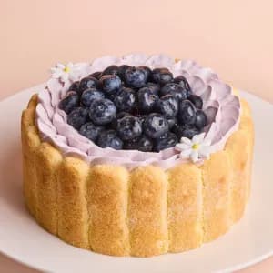 (Size 5) Blueberry & Pear Charlotte