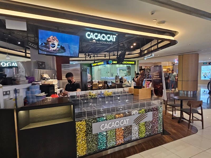 Cacaocat