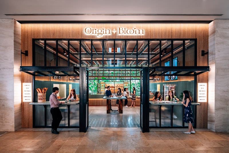 Origin + Bloom